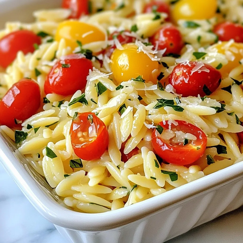 Lemon Garlic Orzo Flavorful and Easy Side Dish